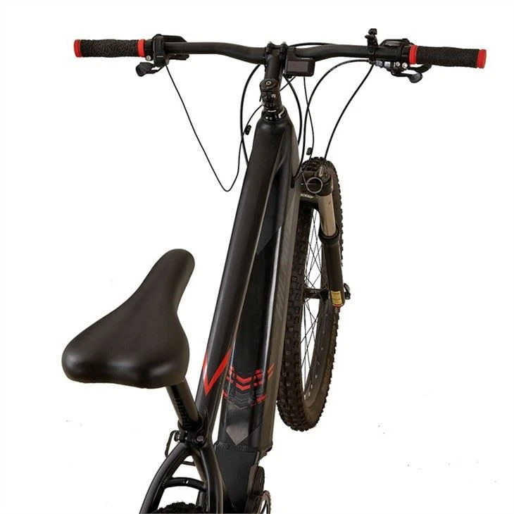 Electric Mountain Bike price
