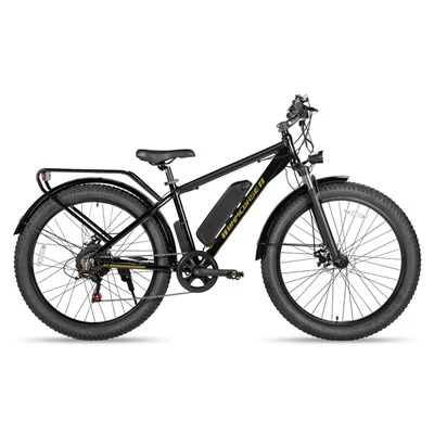 Ötvözet 350W 36V motor felfüggesztés villa Ebike elektromos hegyi kerékpár EHD903